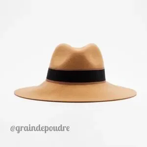 Zara | Accessories | Nib Zara Special Edition Camel Or Black  display picture 2
